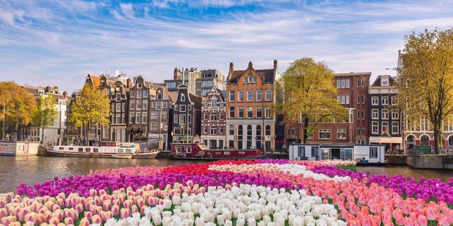 View of tulips and dcanal in Amsterdam, Netherlands