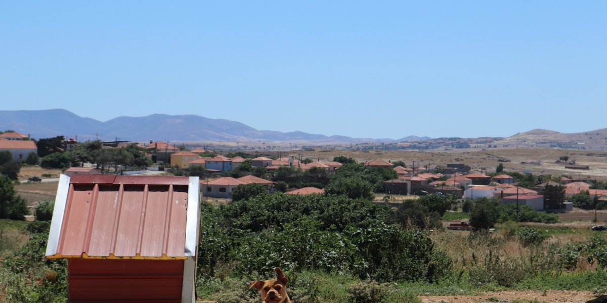 green nature, buildings with tiles, red dog house, Lemnos
