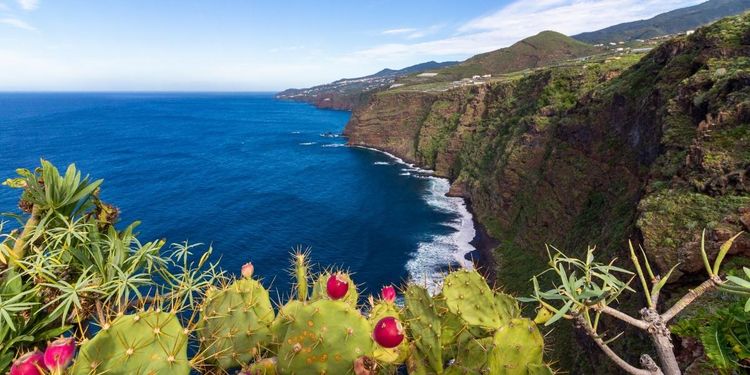 Cádiz - La Palma
