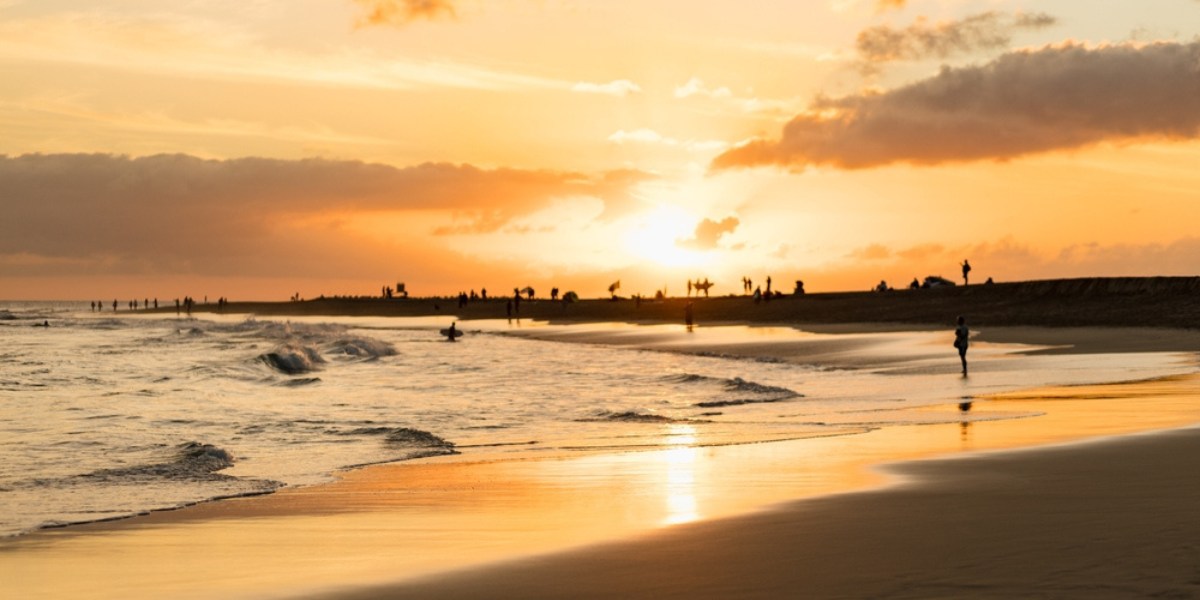 Momento tranquilo al atardecer en una playa de arena en Fuerteventura, palmeras, vacaciones en las islas Canarias, rutas de ferry