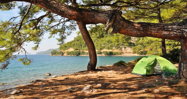 Green tent in the forest close to the sea