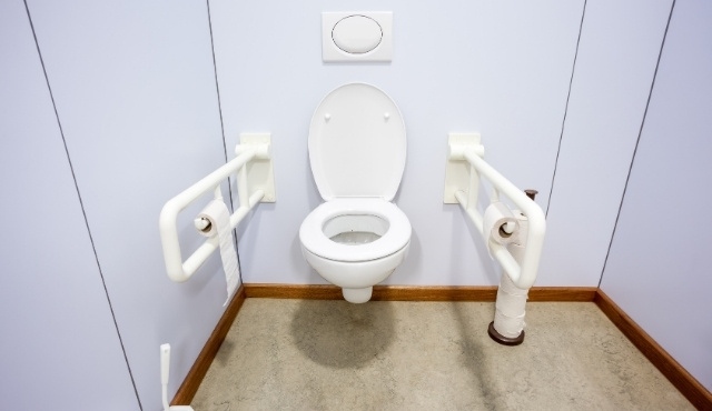 Accessible ferry toilet with grab rails