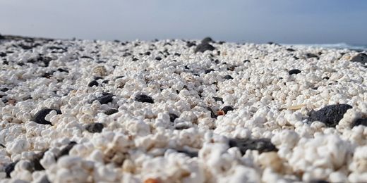 View of the famous popcorn beach near Corralejo in Fuerteventura, Spain