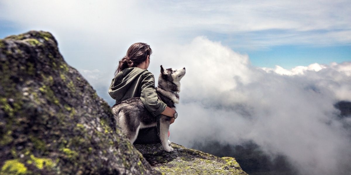 The Top Islands in Spain for Vacation with your Dog Ferryhopper