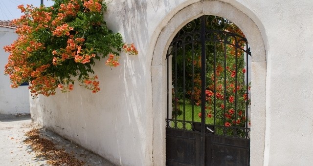 Cycladic house with garden in Naxos