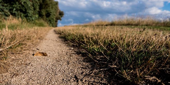 Sentiero escursionistico in una campagna italiana