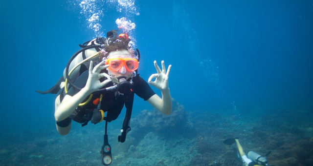 A scuba diver close to the seabed