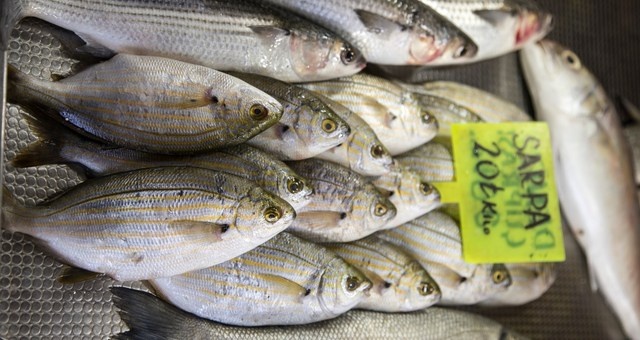 Pesce al mercato ittico di Fethiye