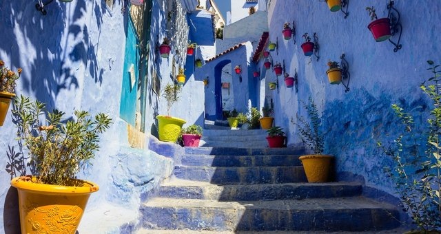 Escadas e casas azuis com vasos de plantas coloridas nas paredes em Chefchaouen, Marrocos