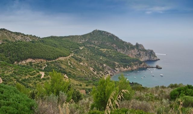 The green coast of Elba