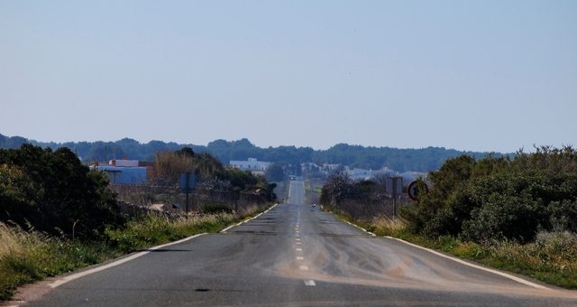 Üppiges Grün entlang einer Straße auf Formentera