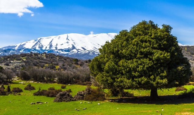 Panoramic view of Psiloritis, also known as Mount Ida, in Crete