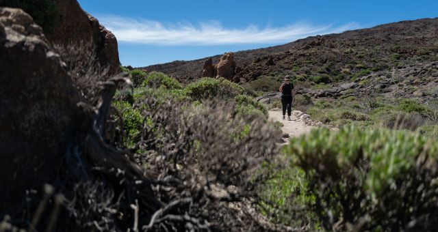 Πεζοπορία στο όρος Teide με απόκρημνα βράχια και αραιή βλάστηση στη Τενερίφη, Ισπανία