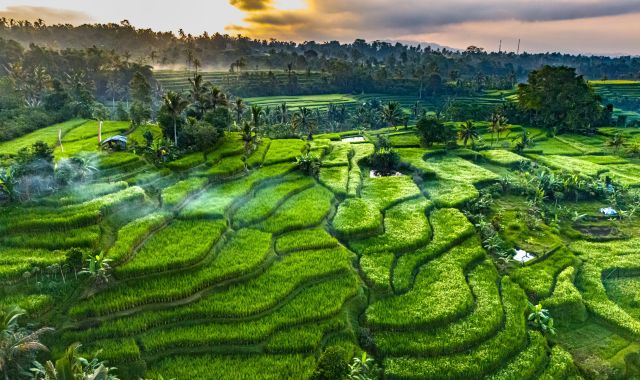 Aerial view of Jatiluwih Rice Terraces in Penebel District, Tabanan Regency, Bali, Indonesia