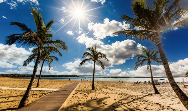View of palm trees and beach at Las Teresitas in Tenerife, Canary islands, Spain