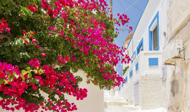 View of white-washed houses in Leros, Dodecanese, Greece
