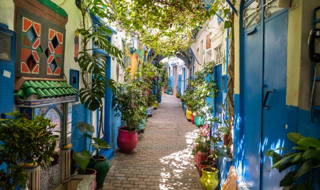 Small alleyway in the historic Kasbah quarter of Tangier, with colorful houses and plants lining the street