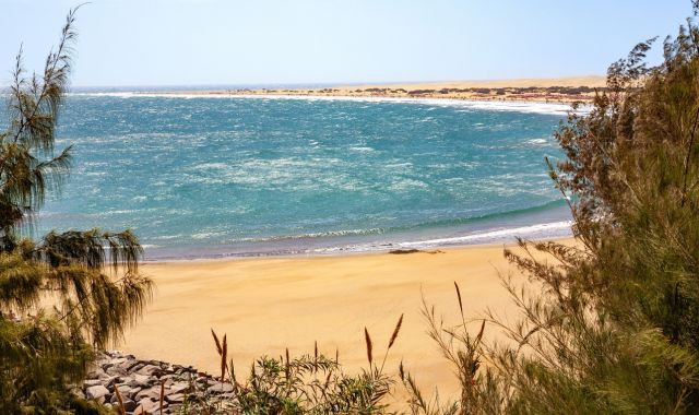 Il mare e la spiaggia di Playa del Inglés che si intravede tra gli alberi e la vegetazione rigogliosa di Gran Canaria