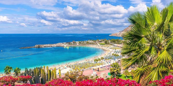 Panoramic view of Amadores Beach in Gran Canaria, Canary Islands, Spain