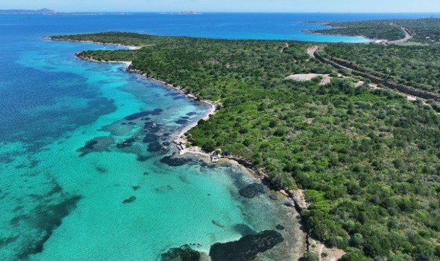 Die grüne Küstengegend um den Strand Marinella aus der Luft, Olbia, Sardinien 