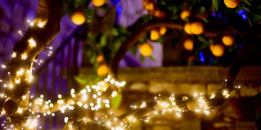 Un albero ricoperto di arance e addobbato con luci natalizie in Sicilia