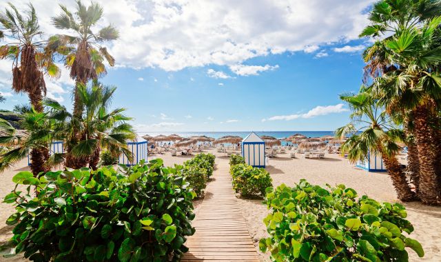 Passerella in legno fiancheggiata da palme con accesso alla spiaggia attrezzata di Playa del Duque a Tenerife