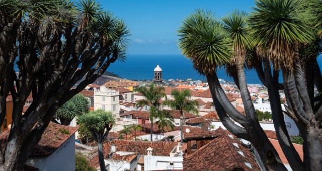 View of La Orotava, showing traditional Canarian architecture, Spain