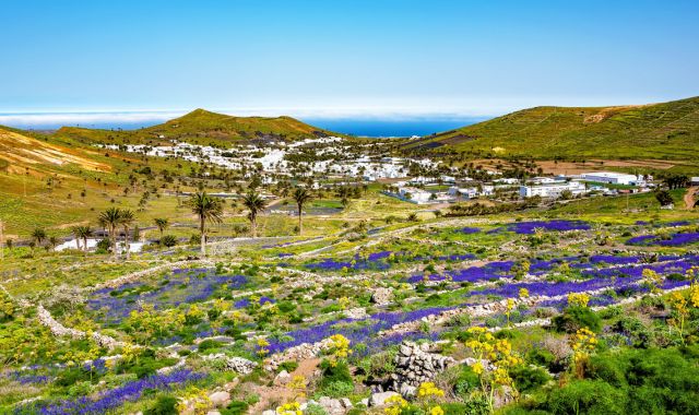Village of Haría, Lanzarote, Canary Islands,Spain