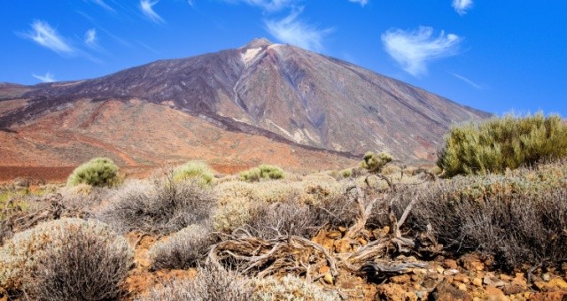 Landscape view of Mount Teide in Tenerife with dry bushes, Spain