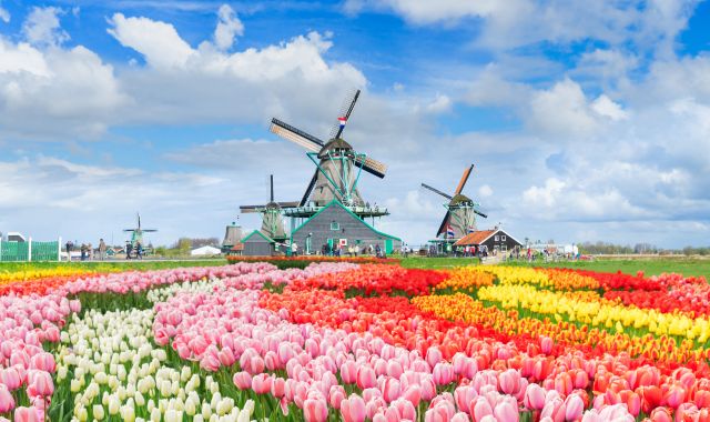 View of canal and windmills at Zaanse Schans, Netherlands
