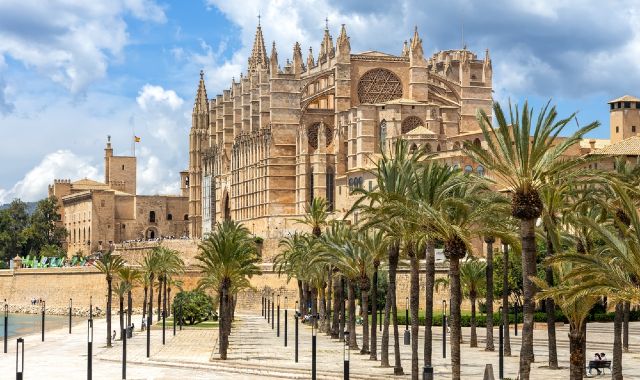 Viale con palme che conduce alla cattedrale di Santa Maria, a Palma di Maiorca
