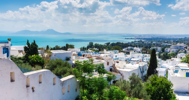  Le tipiche case bianche affacciate sul mare di Sidi Bou Said, Tunisia