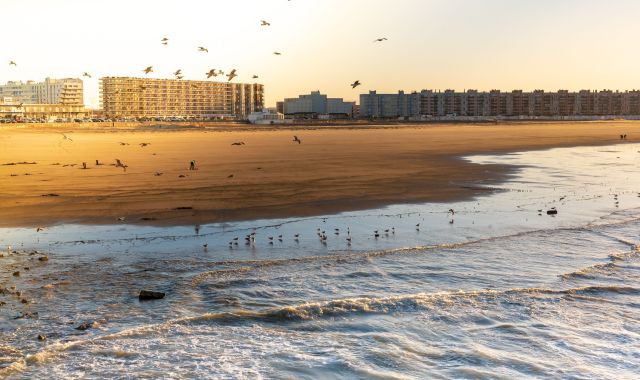 Aerial view of low tide at Calais, France