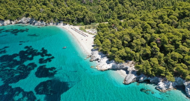 Aerial view of a sandy beach with turquoise water surrounded by a dense green pine forest in Skopelos, Greece