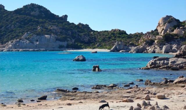 Das Eiland Spargi im La-Maddalena-Archipel