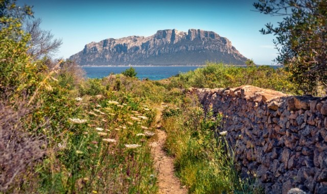 Blick auf Tavolara von der Spiaggia del Dottore aus, Olbia, Sardinien
