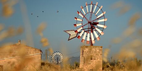 Mallorca ohne Flugzeug