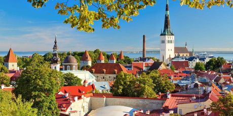 Bis zu -50 % nach Helsinki und Tallinn mit Viking Line