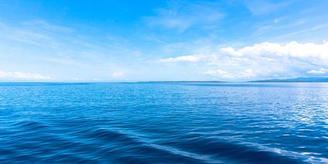Όροι Συμμετοχής στην Κλήρωση Έρευνας Brand Perception Ferryhopper