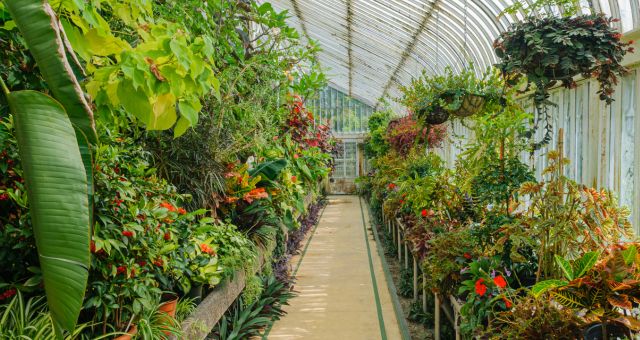 The Botanic Gardens in Belfast, UK