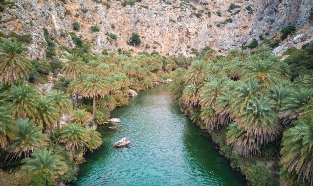 La playa de Preveli rodeada de palmeras