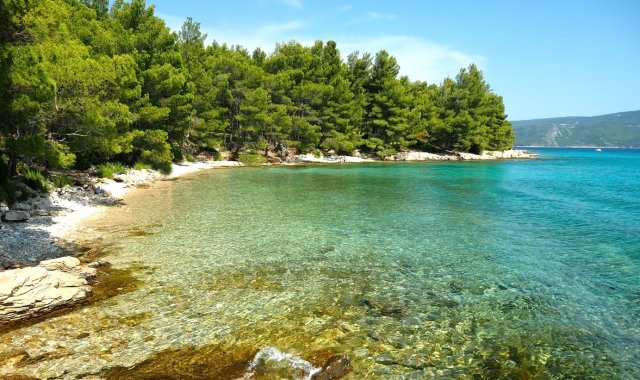 Praia de seixos em Hvar, rodeada de pinheiros