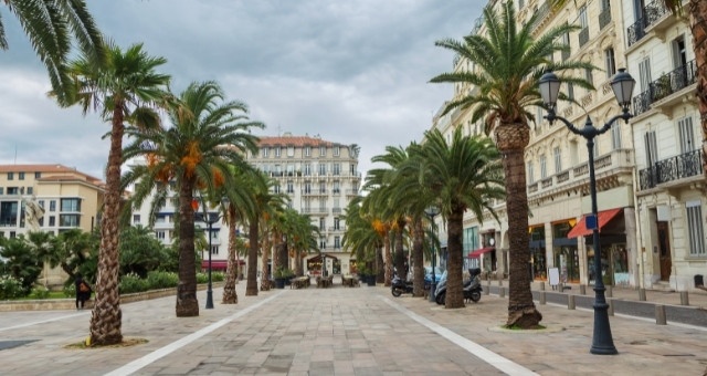 Palmeiras na praça de Toulon