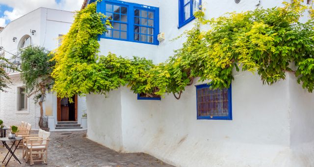 White houses of traditional architecture in Hydra