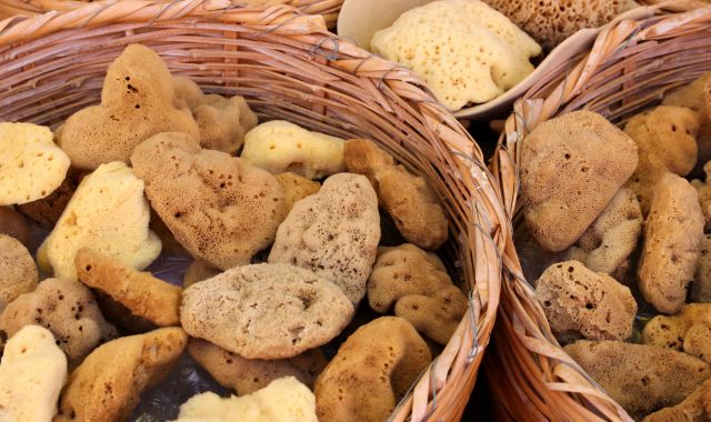 Sea sponges harvested in Kalymnos, Greece