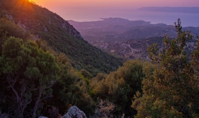 View of green landscape in Lesbos at sunset