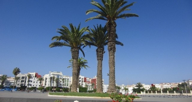 Une place avec des palmiers à Al Hoceïma