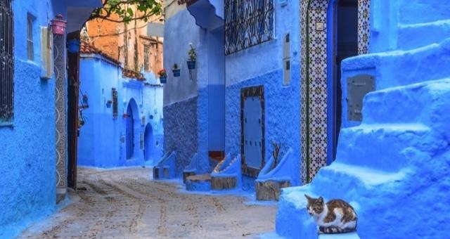 Niebieskie budynki w mieście Chefchaouen w Maroku