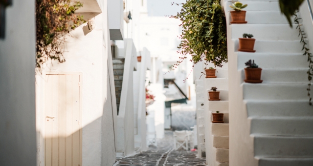 White alley in Paros, plants and pots, stairs, white door, sunlight, shadows