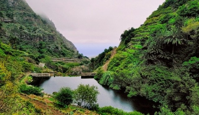 View of the ocean from an area in the Garajonay National Park in La Gomera, Spain